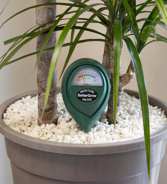 house plant water monitor Plant Moisture Meter