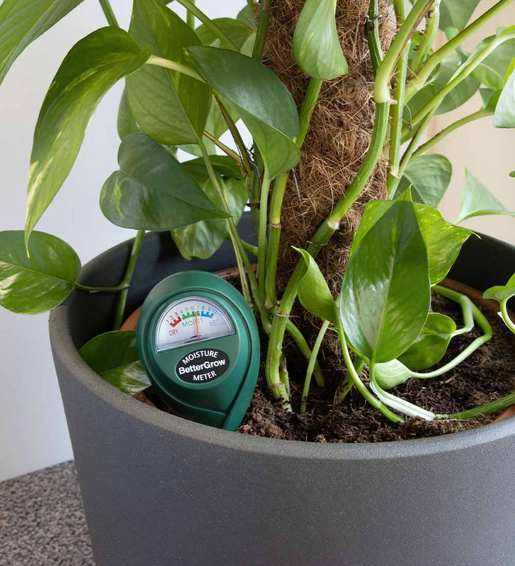 potted plant moisture indicator Plant Moisture Meter