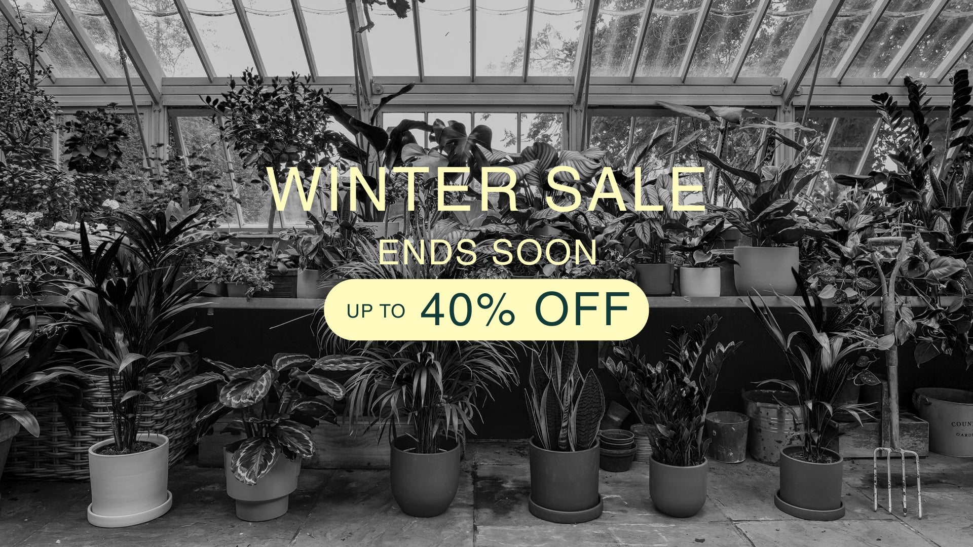 Winter Sale ends soon