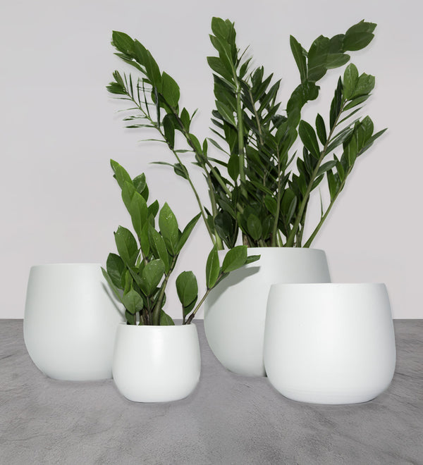 Warm Grey Isabel Pot