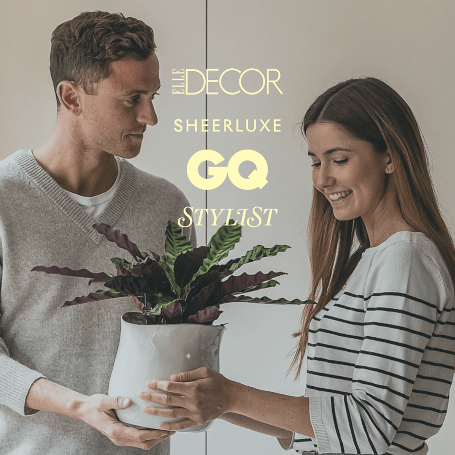 Plant Subscription Box | Leaf Envy