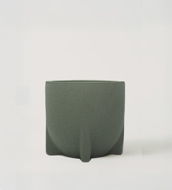 Windsor Sage 14cm