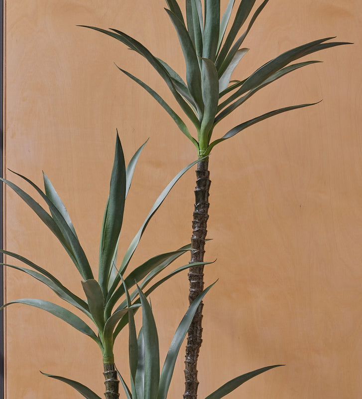 Artificial Yucca Plant