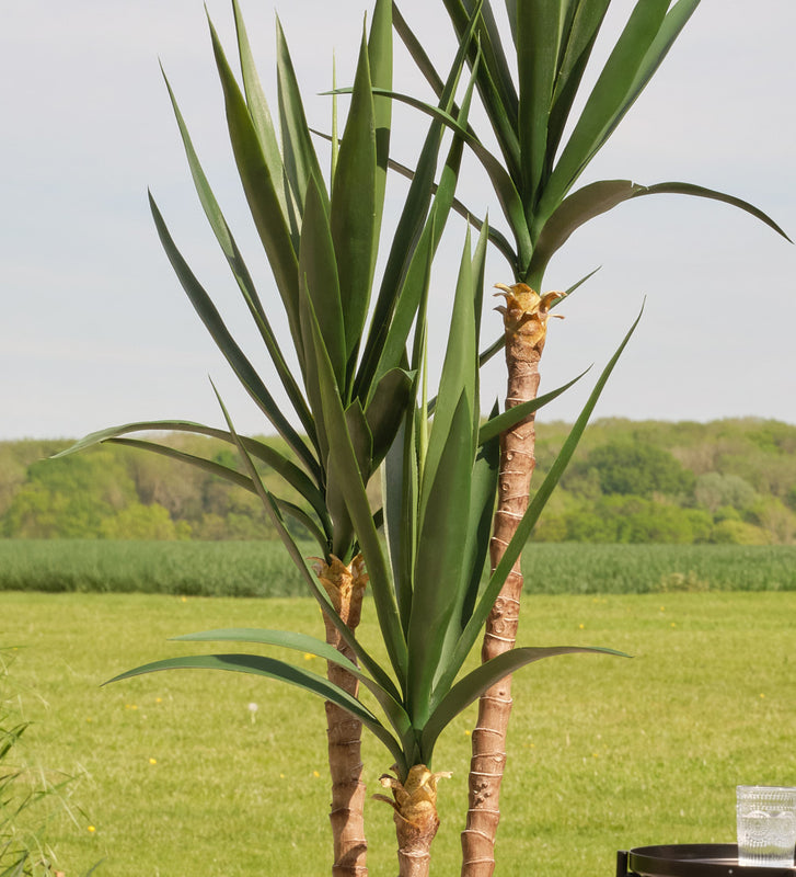 Artificial Yucca Plant (UV protected)