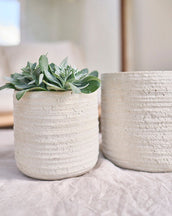 Primrose Cream Plant Pot - Leaf Envy