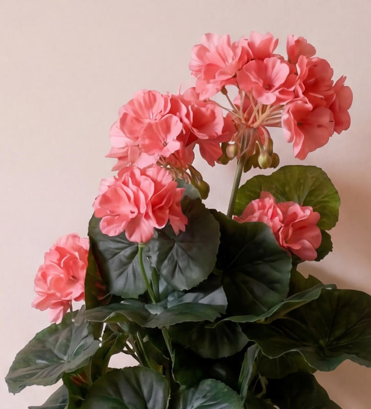 Artificial Geranium & Grey Pot
