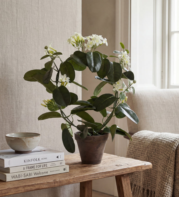 Artificial Jasmine & Pot