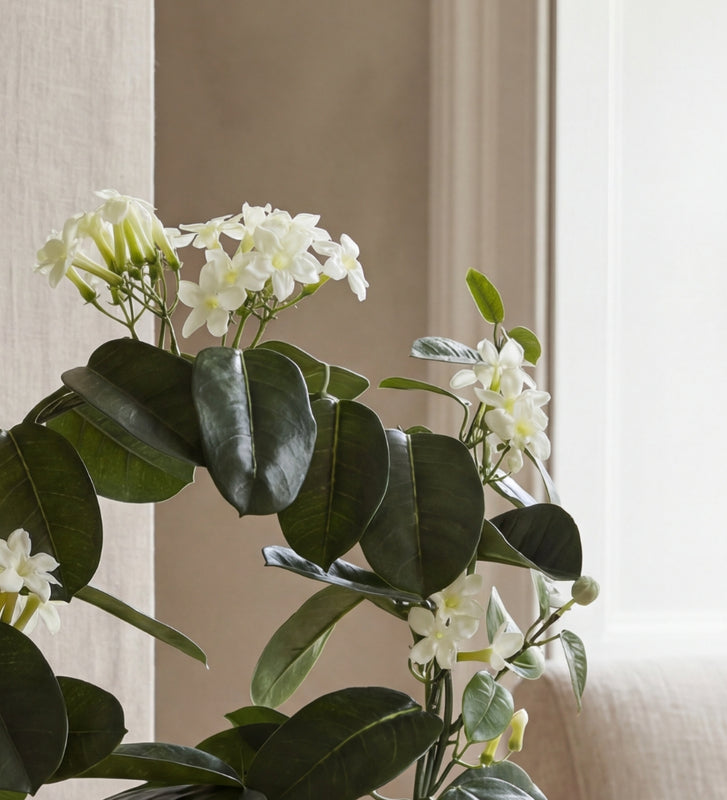 Artificial Jasmine & Pot