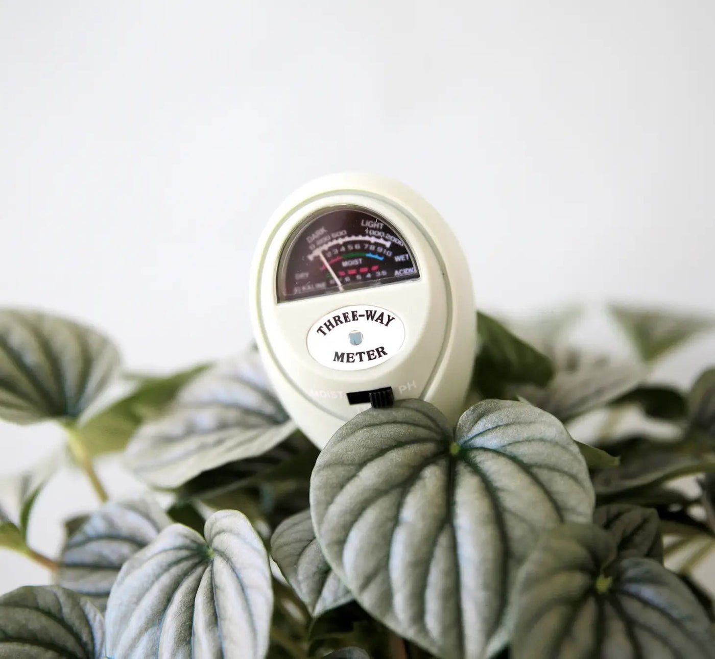 3 in 1 Moisture Meter - Leaf Envy