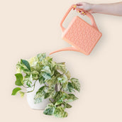 Breeze Block Watering Can - Peach - Leaf Envy