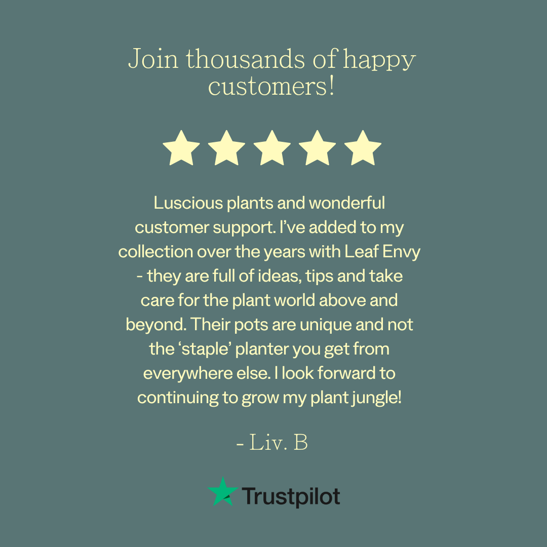 Plant Subscription Box - Leaf Envy