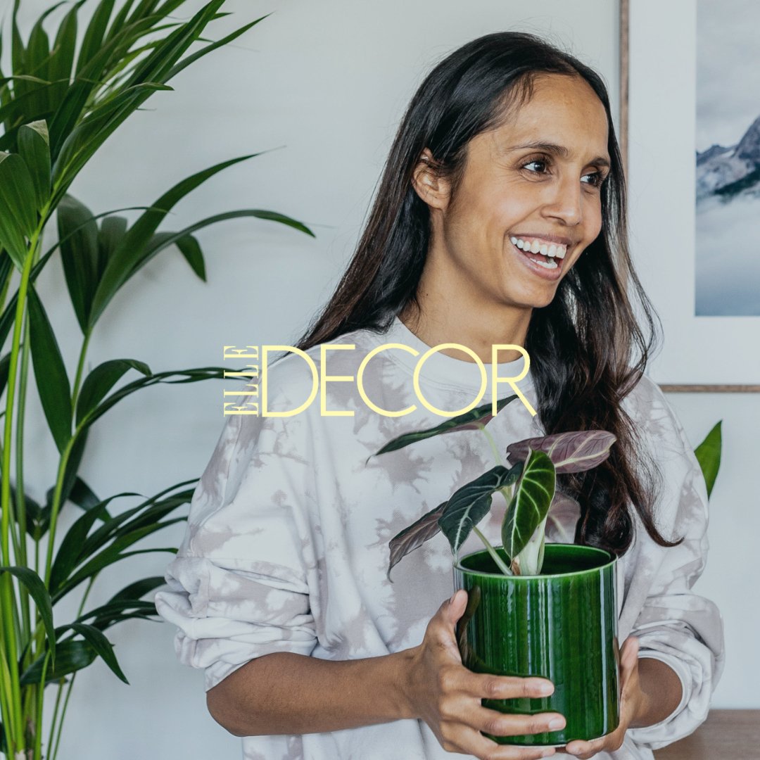 Plant Subscription Box - Leaf Envy