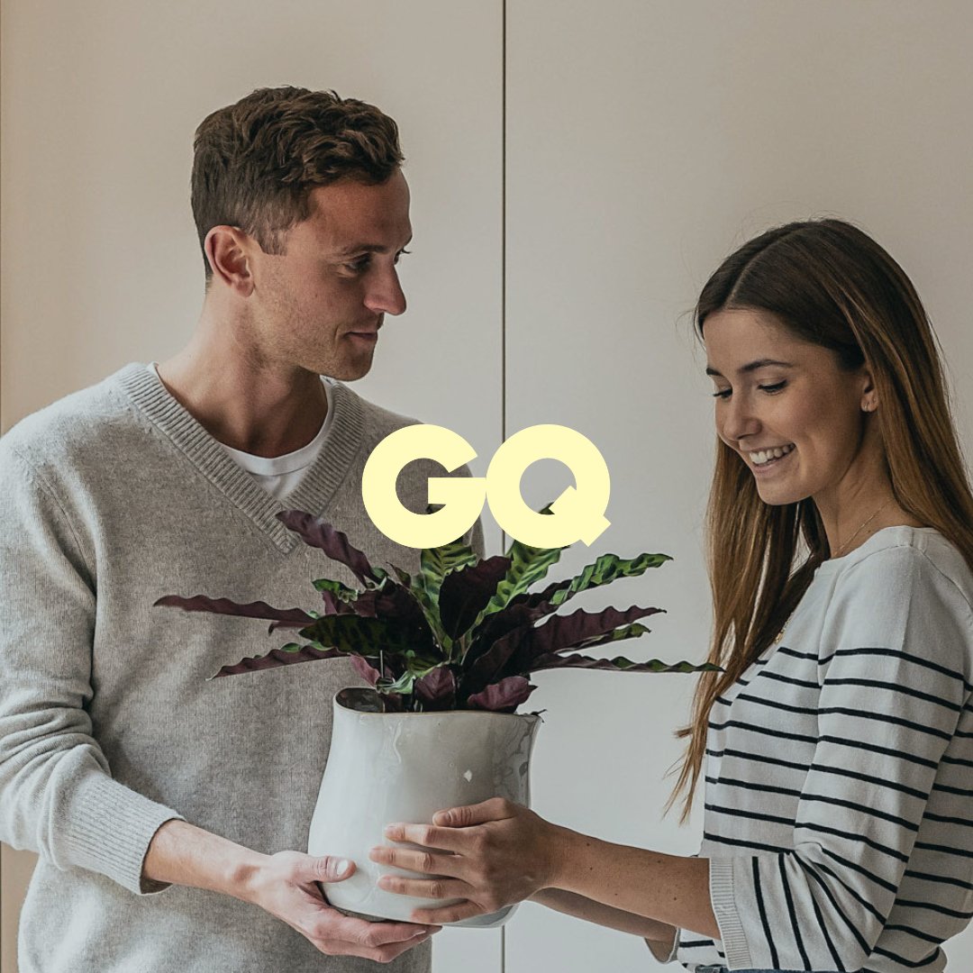 Plant Subscription Box - Leaf Envy