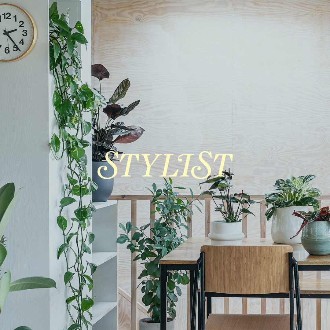 Plant Subscription Box - Leaf Envy