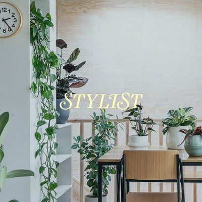 Plant Subscription Box - Leaf Envy