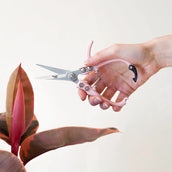 Pruning Shears Pink Indoor Plant Pruners Houseplant Care