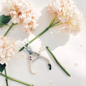 Pruning Shears - Vanilla - Leaf Envy
